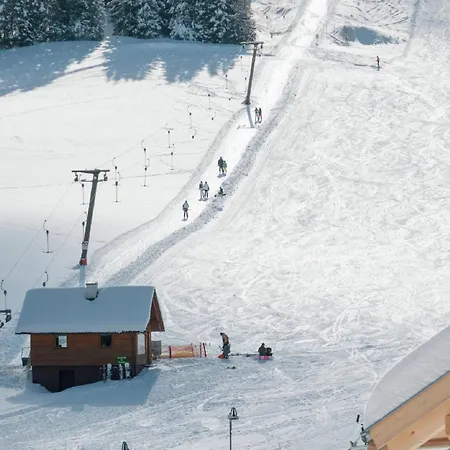 Chalet In Styria With Sauna