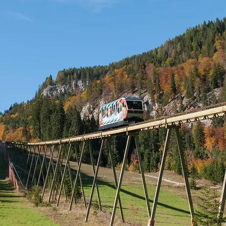 Chalet Chalet In Styria With Sauna *